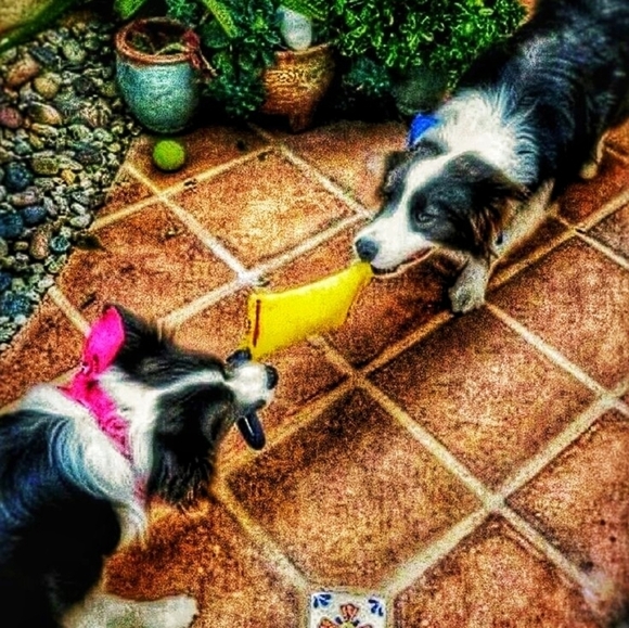 Tug And Go repurposed firehose original Tug - Picture 11 of 15